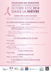 Octobre Rose 2014: 21 ans de sensibilisation au dépistage du cancer du sein