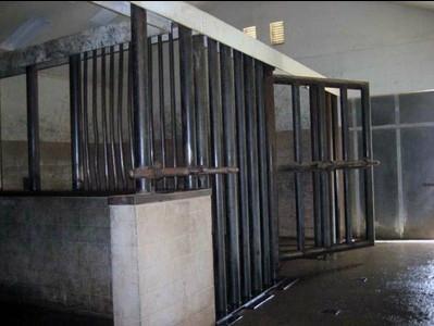 Neverland: partie 9: Le zoo elephant cage