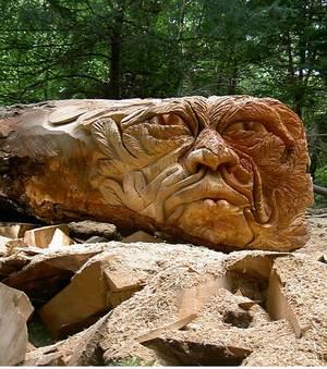 Tommy Craggs, sculpteur de troncs d'arbres