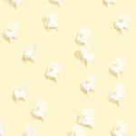 Photography : Andrew B. Myers