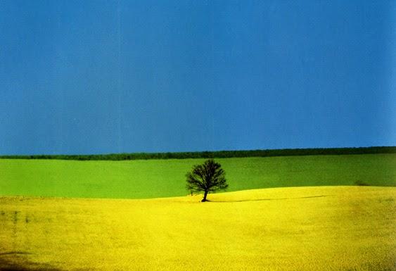 FRANCO FONTANA