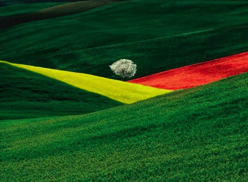 FRANCO FONTANA