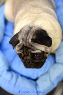 Animal Expo 2014 Animal Expo 2014