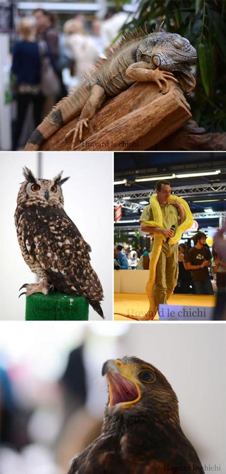 Animal Expo 2014 Animal Expo 2014