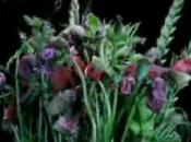 [TRACK] Ropoporose Summertime (Girls Cover)