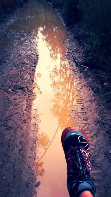 Via Lusitania, étape 8,  sous la pluie et en images.