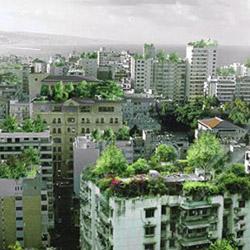 Changement climatique : quelles stratégies d'adaptation pour la ville ?