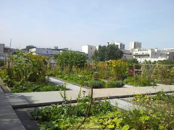jardin-partage-sur-le-toit-20eme-27_gagaone