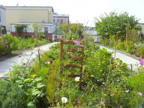 jardin-partage-sur-le-toit-20eme-11_gagaone