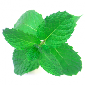 Miam la Menthe Jus de fraîcheur