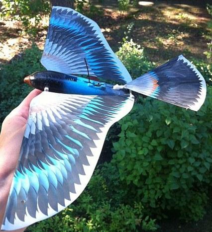 Avitron 2.0, l’oiseau bionique télécommandé