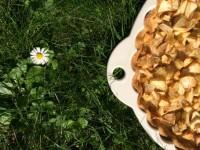 tarte aux pommes plat revol les naturels