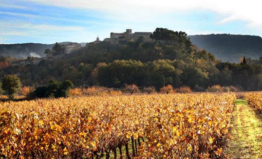 Provence Luberon vignes Marrenon1