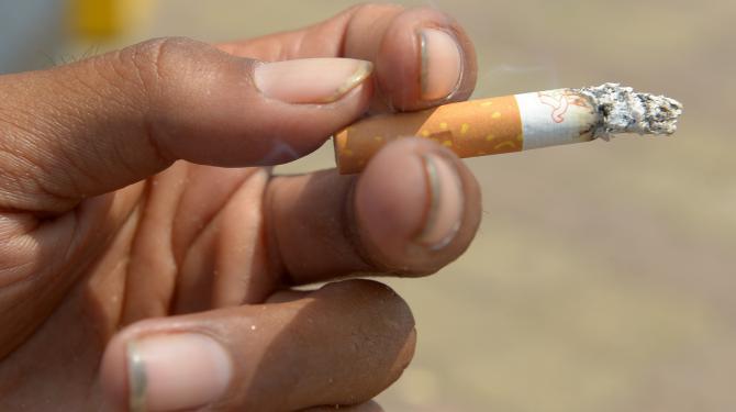 Cash investigation La face cachée de l'industrie du tabac