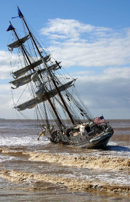 Photo (c) Mike Brodey