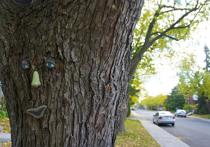 anteketborka.blogspot.com,   10x10 7