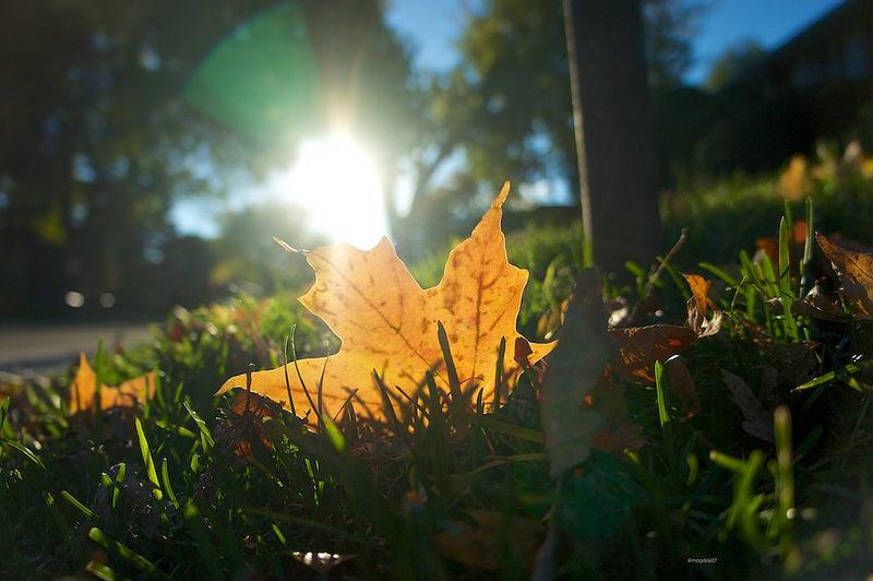 anteketborka.blogspot.com,   10x10 9