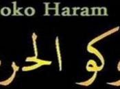CAMEROUN GAGNE Boko Haram: sous pression, secte libère otages