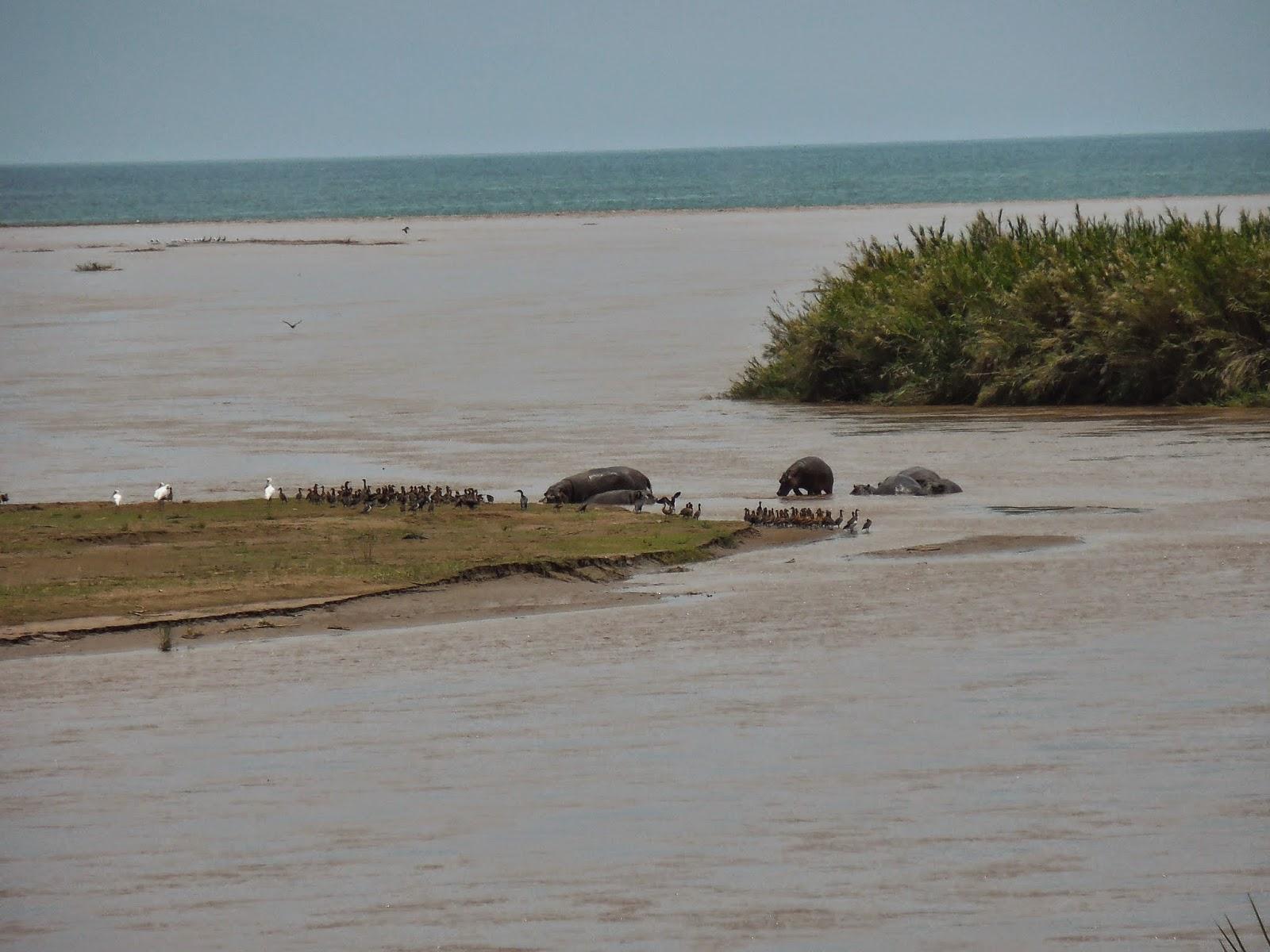 burundi : éléments du décor en 7 photos (pour continuer)