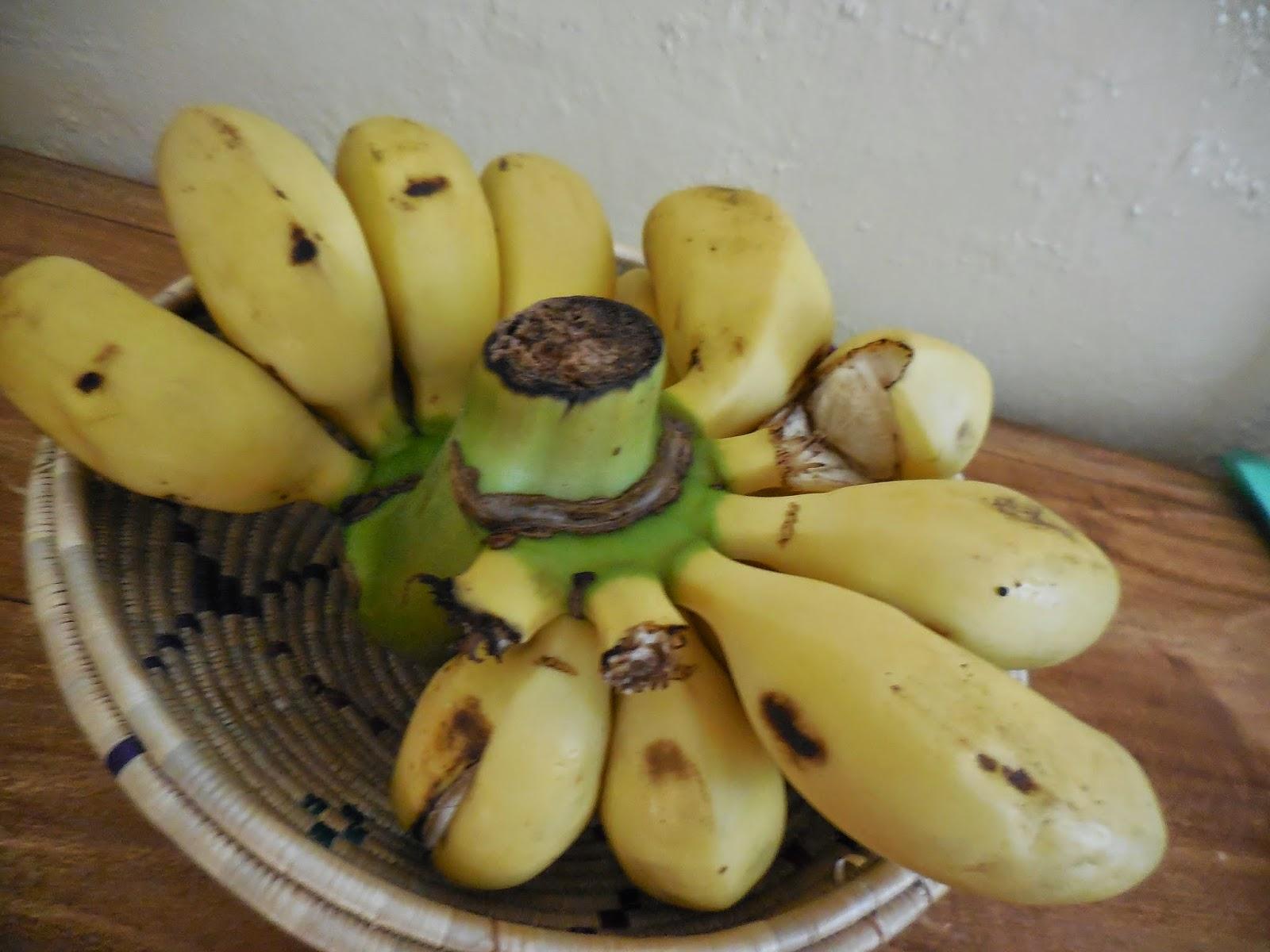 burundi : éléments du décor en 7 photos (pour continuer)