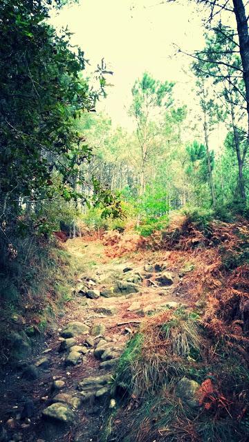 Via Lusitania, étape 12, de Ponte de Lima à Tui en images