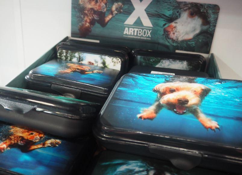 Art Box chien sous l'eau