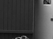 Visuelle gourmandise