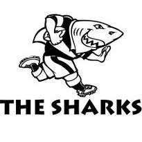 Currie Cup 2014 Sharks XV