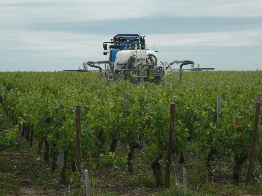 Utilisation de pesticides dans les vignes du Médoc © Jean-Pierre Stahl