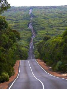 kangourou-road