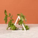 DESIGN : Nature & Sputnik-5 Table