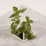 DESIGN : Nature & Sputnik-5 Table