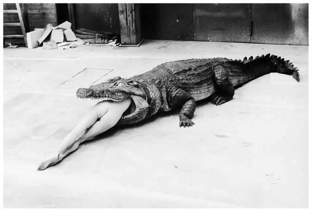 helmut newton