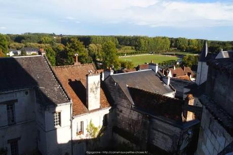 Arpenter la Cité royale de Loches – Châteaux de la Loire (37) Visiter-la-cite-royale-de-Loches-chateaux-de-la-loire15_gagaone
