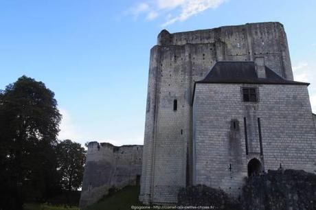 Arpenter la Cité royale de Loches – Châteaux de la Loire (37) Visiter-la-cite-royale-de-Loches-chateaux-de-la-loire35_gagaone