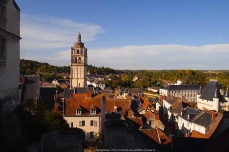 Visiter-la-cite-royale-de-Loches-chateaux-de-la-loire19_gagaone