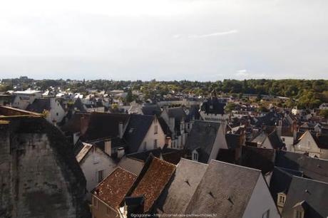 Arpenter la Cité royale de Loches – Châteaux de la Loire (37) Visiter-la-cite-royale-de-Loches-chateaux-de-la-loire27_gagaone