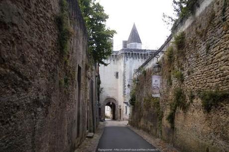 Arpenter la Cité royale de Loches – Châteaux de la Loire (37) Visiter-la-cite-royale-de-Loches-chateaux-de-la-loire57_gagaone