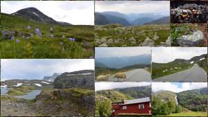 La splendide Route touristique nationale d'Aurlandsfjellet