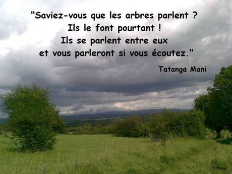 Click for a larger view citation en image de Tatanga Mani