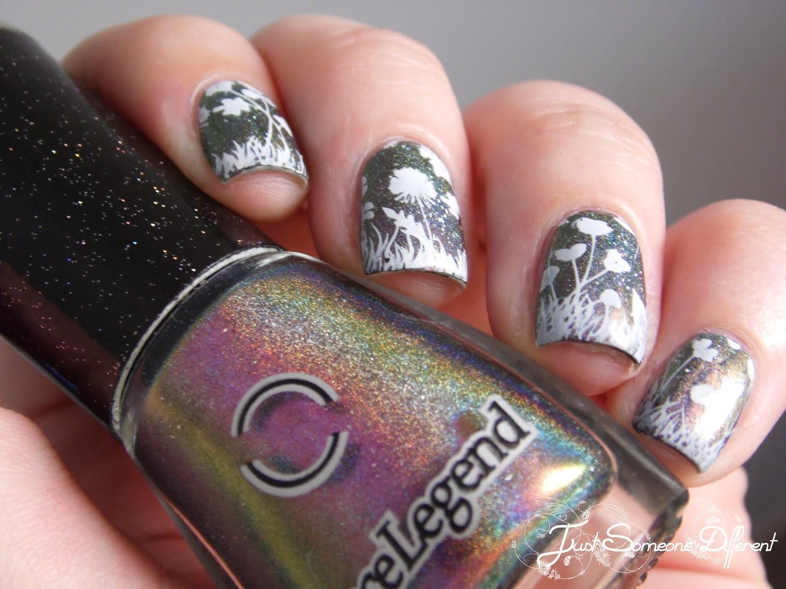 Multichromes et prairies fleuries