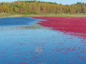 sortie ordinaire....