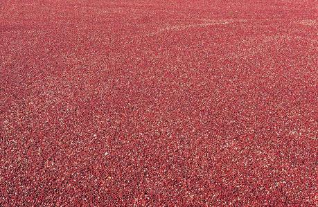 anteketborka.blogspot.com,   canneberge 4