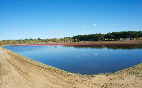 anteketborka.blogspot.com,   canneberge 2