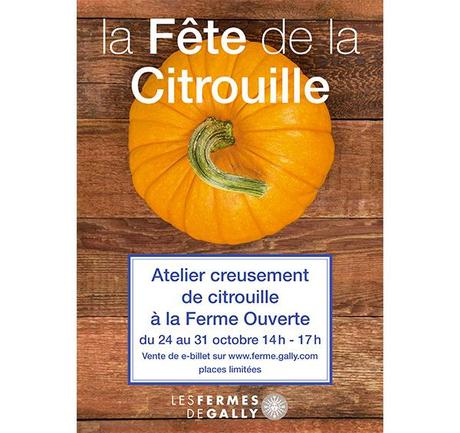ferme-gally