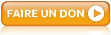 bouton Paypal don