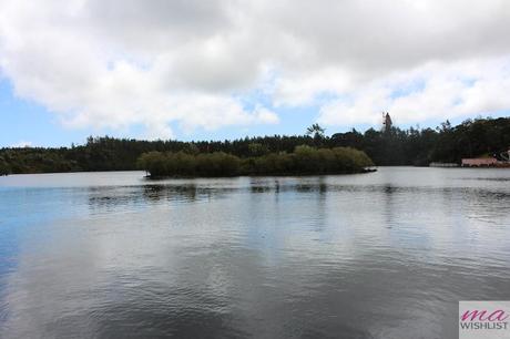 grand bassin ile maurice