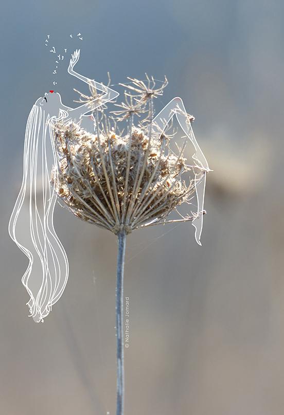 grumeau fleur courage