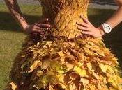 robe feuille d'automne
