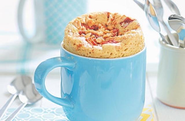 Le top 20 des mug cakes mug-cake-a-la-mexicaine_large